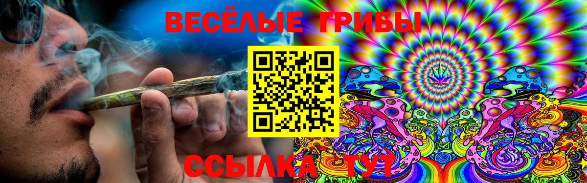 Псилоцибиновые грибы Cubensis Каменск-Шахтинский