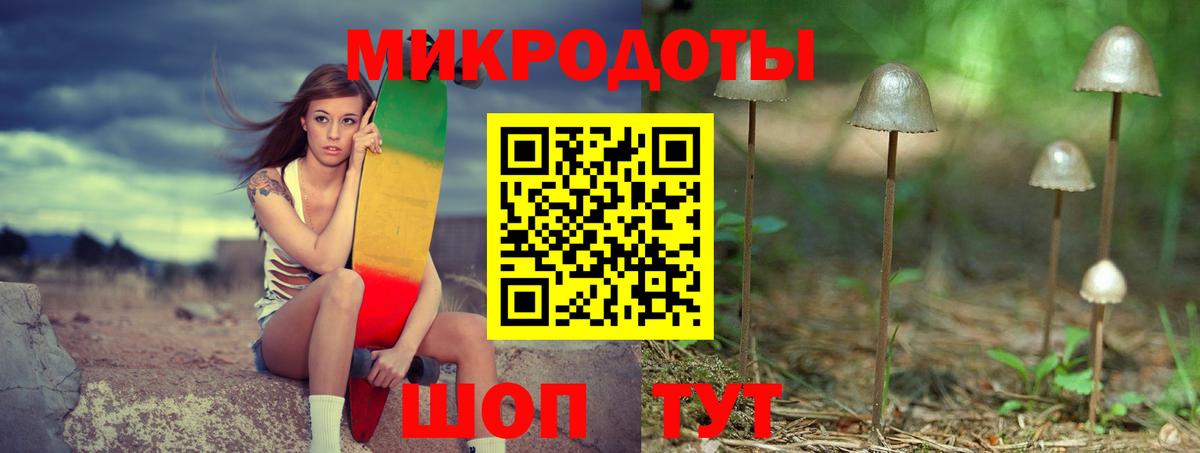 Галлюциногенные грибы Psilocybine cubensis  Вход с VPN  Каменск-Шахтинский 