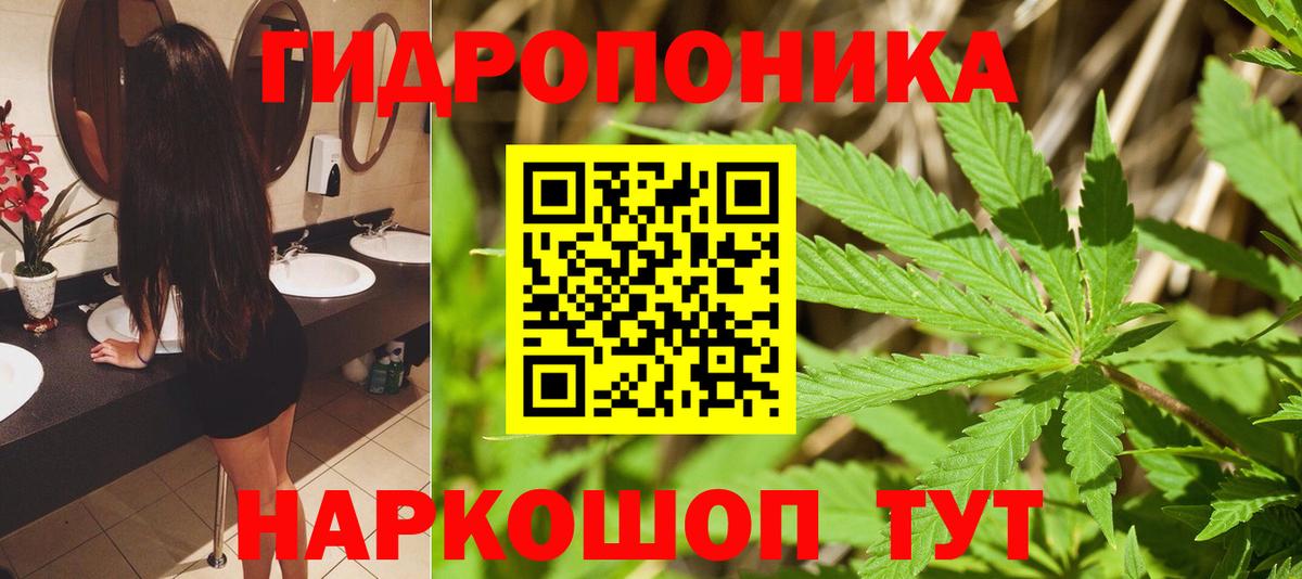 Канабис Ganja  Бошки Шишки сатива  Вход с VPN  Каменск-Шахтинский 